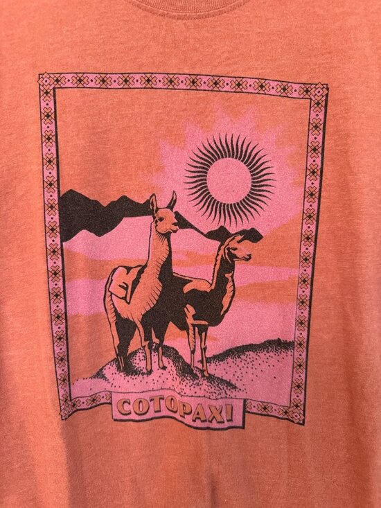 cotopaxi Other - Cotopaxi Llama Greetings Organic T-Shirt Orange Llama Graphic Print Crewneck Sma